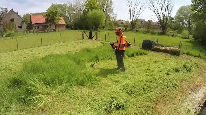 Stihl FS 490 C-EM L / Autocut 40-2 in action!