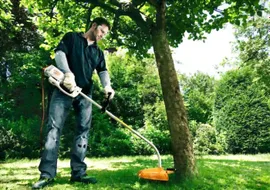 Электрический триммер Stihl FSE 60, AutoCut C 6-2