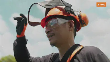 That's Why STIHL FS 3001