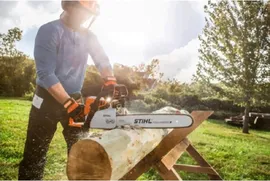 Бензопила STIHL MS 250 14" (11232000845)