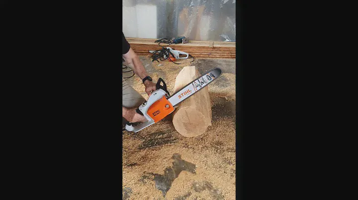 Meine neue Elektrosäge Stihl MSE 250