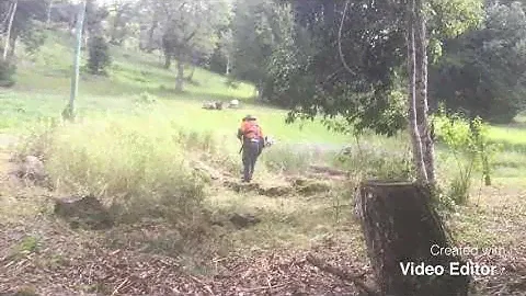 Heavy Brush Cutting Stihl FS 111.