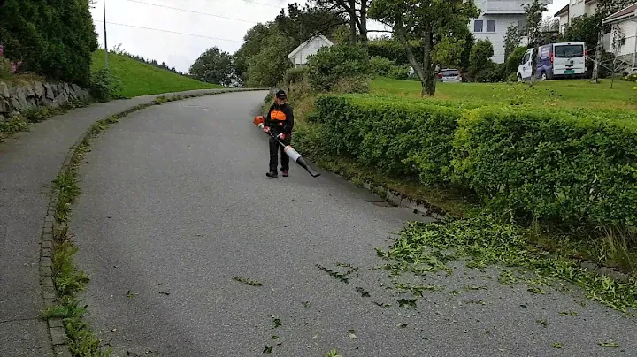 Stihl Kombi System KM 130 R With BG KM Blower