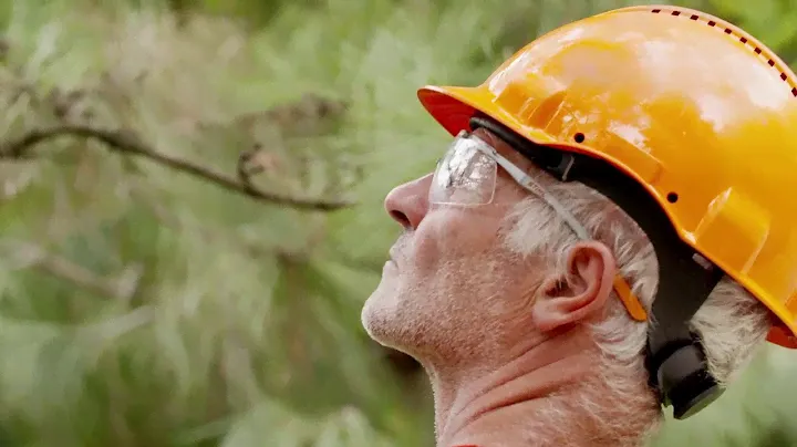 Аккумуляторный высоторез Stihl HTA 85 и HTA 65